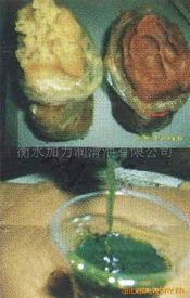 衡水加力潤滑油 零售市場的品質守護者
